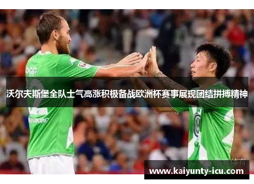 沃尔夫斯堡全队士气高涨积极备战欧洲杯赛事展现团结拼搏精神