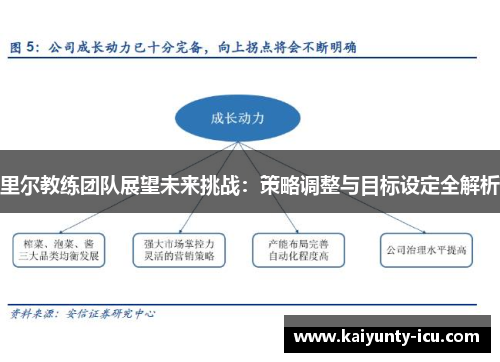 里尔教练团队展望未来挑战：策略调整与目标设定全解析