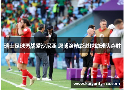 瑞士足球勇战爱沙尼亚 恩博洛精彩进球助球队夺胜