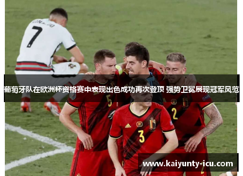 葡萄牙队在欧洲杯资格赛中表现出色成功再次登顶 强势卫冕展现冠军风范