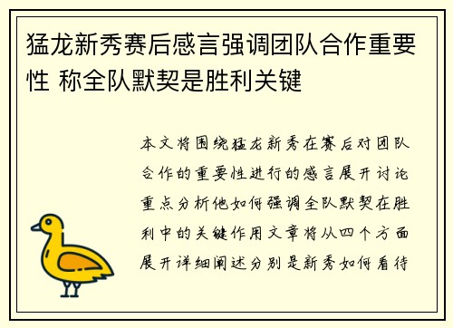 猛龙新秀赛后感言强调团队合作重要性 称全队默契是胜利关键