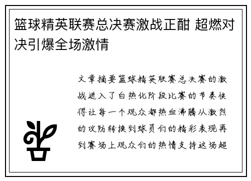 篮球精英联赛总决赛激战正酣 超燃对决引爆全场激情