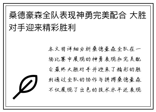 桑德豪森全队表现神勇完美配合 大胜对手迎来精彩胜利